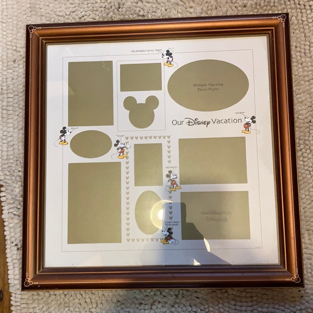 Disney vacation frame